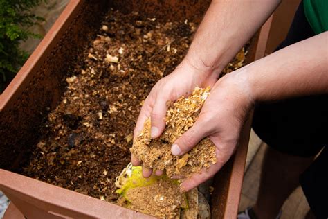 L Art Du Compost Au Potager Comment Et Pourquoi Enrichir Le Sol