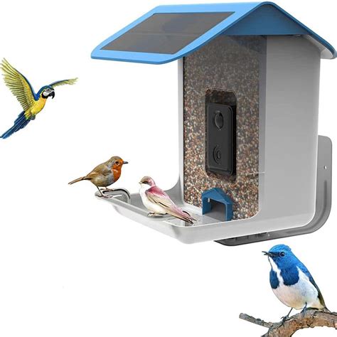 Afoxsos Smart Bird Feeder with Solar Roof, 1080P HD Camera, AI Identify ...