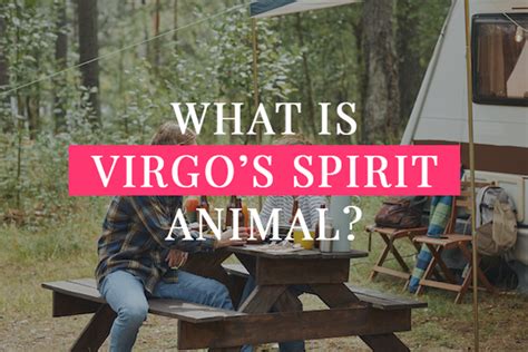 What Is Virgo’s Spirit Animal? | My Zodiac Lover