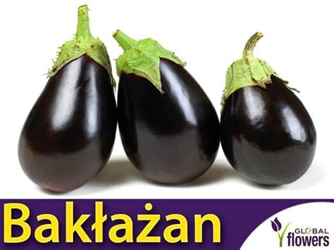 Oberżyna Bakłażan Black Beauty (Solanum melongena) Sklep Ogrodniczy ...