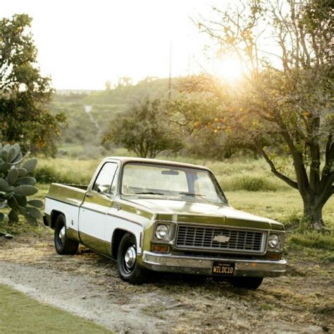 1973 Chevy C10 Custom Deluxe 10 for sale