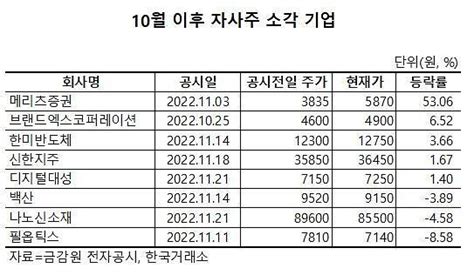 자사주 소각 효과 있네10월 이후 8곳 가운데 5곳 주가 상승 네이트 뉴스