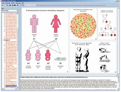 Vererbung Und Genetik Des Menschen Teil I 5508726 Biologie