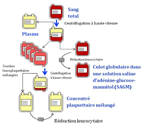 Transfusion De Plaquettes Lallo Immunisation Et La Prise En Charge De