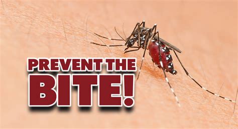 Preventing Mosquito Bites - Mega Doctor News