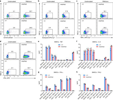 Normal Snrnp40swpswp Nk Cell Degranulation And Bmdc Cytokine Download Scientific Diagram