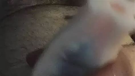 Straight Guy In Short Jerk Off With Masturbator Cumshot Gay Amateur Porn Feat Incredible Dick