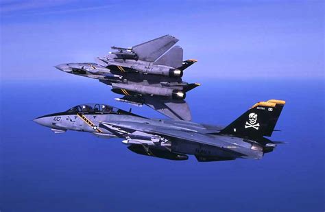 Some Random Tomcat Love F14 Jolly Rogers Laststandonzombieisland