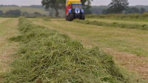 What Are The Key Nutritional Benefits Of Multi Cut Silage