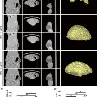 Analysis Of Fat Survival In A Nude Mouse Fat Graft Model At Week By