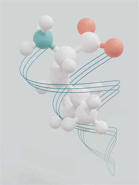 Leucine L Leucine Leu L Amino Acid Molecule Stock Illustration