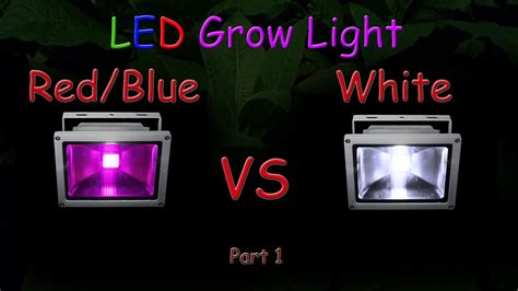 White Led Vs Red Blue Led Grow Light Grow Test Part Educational