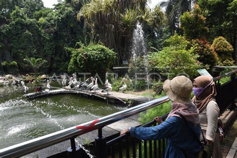 Liburan Di Taman Margasatwa Ragunan Antara Foto