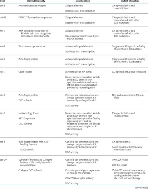 Genes Central To Sex Determination And Dosage Compensation Download Scientific Diagram