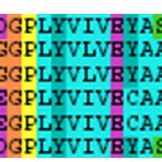 Example of the sequence alignment visualization | Download Scientific Diagram