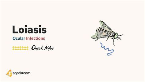 Ocular Infections - Loiasis