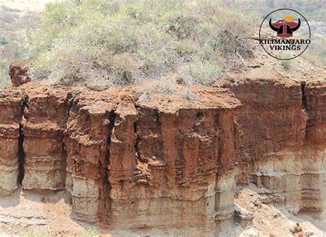 Olduvai Gorge Olduvai, more accurately called Oldupai after the wild ...