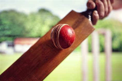 What Is The Strike Rate In Cricket Sport Makers