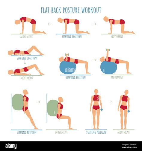 Workout For Flat Back Posture Educational Instructions For