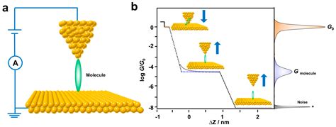 Biosensors Free Full Text Recent Advances In Single Molecule