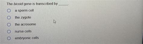 Solved The Bicoid Gene Is Transcribed By Q A Sperm Cellthe Chegg