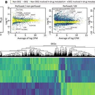 Analysis Of Gene Expression Profiles A Multidimensional Scaling Plot