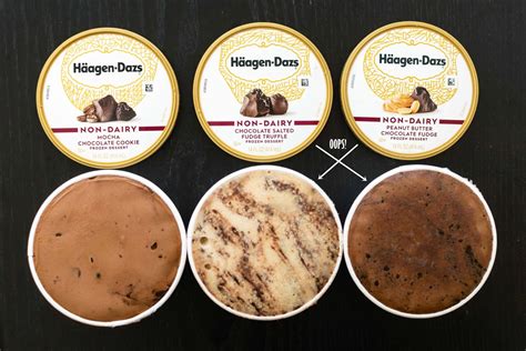 Haagen Dazs Non-Dairy Ice Cream (Review): Tasting Notes & Full Info