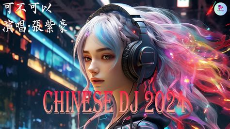 🆕2024最火歌曲dj Remix 抖音版 最佳tik Tok混音音乐 可不可以 張紫豪 美丽的神话 孙楠韩红三生三幸