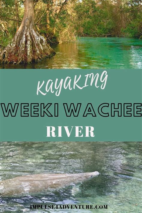 Kayaking at weeki wachee springs – Artofit