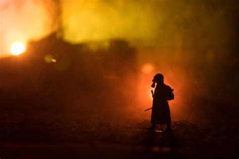 Chernobyl Wolves Develop Resistance to Cancer Amidst Nuclear Fallout ...