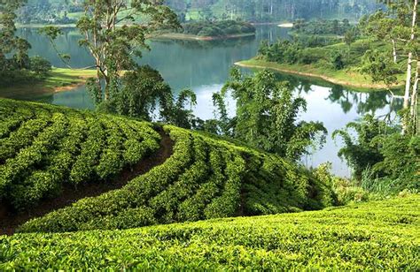 Tourist Attractions Events Things To Do In Hatton Sri Lanka Love Sri Lanka