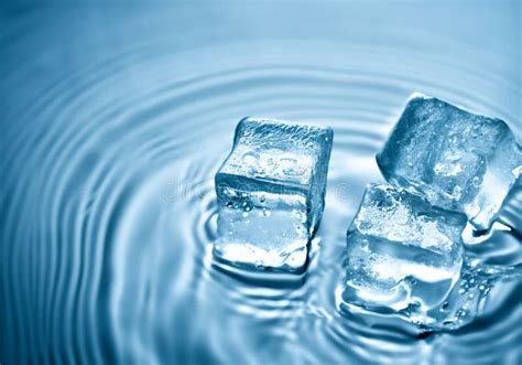 Ice Cubes Dropped Into Water Stock Illustration Illustration Of White