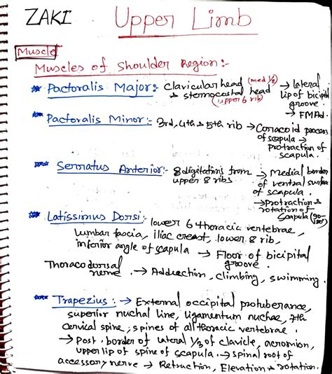 SOLUTION Upper Limb Anatomyn Mrcs A Studypool