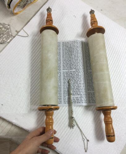 Judaica Beautiful Sefer Torah Scroll Hebrew Jewish Bible Cm