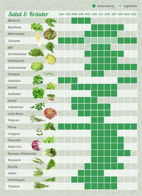 Saisonkalender für das ganze Jahr EAT SMARTER