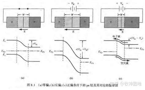 半导体器件基础02从PN结到二极管基础1 知乎