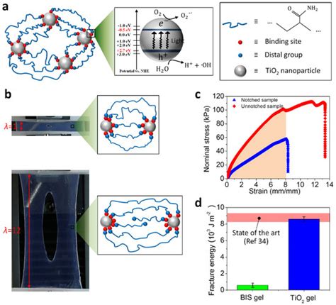 Polymers | Special Issue : Mechanics of Emerging Polymers with ... 