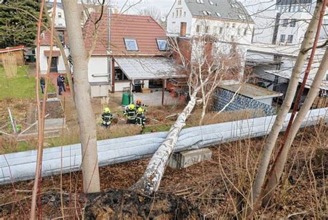 20 Meter hoher Baum stürzt auf Einfamilienhaus