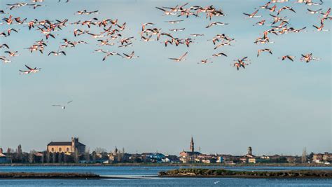 Weekend Nella Piccola Venezia Le Valli Di Comacchio In Bici