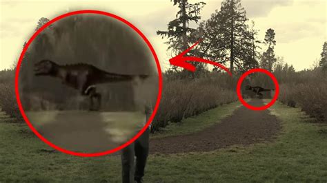 5 Real Dinosaur Caught On Camera Paranormal TOP 5 YouTube