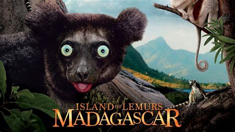 Island of Lemurs: Madagascar Movie Review and Ratings by Kids