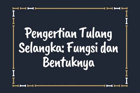 Foto Pengertian Tulang Selangka Fungsi Dan Bentuknya