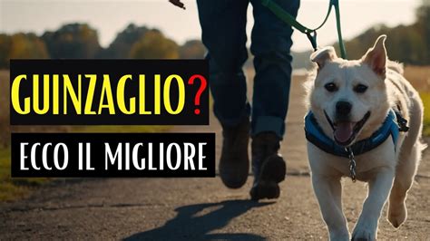 CANE TIRA AL GUINZAGLIO Migliori Guinzagli Per Addestrare I Cani A Non