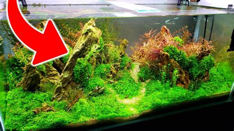 How To Get CRYSTAL CLEAR Aquarium Water No More Cloudy Water