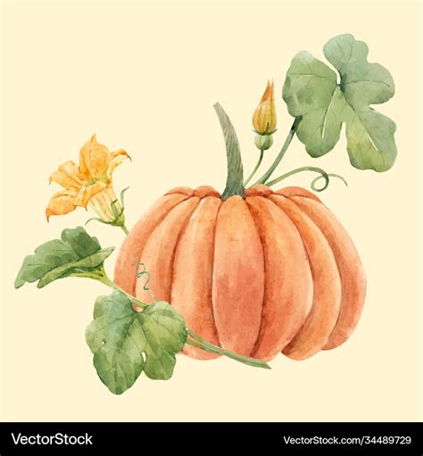 Beautiful stock Royalty Free Vector Image - VectorStock 