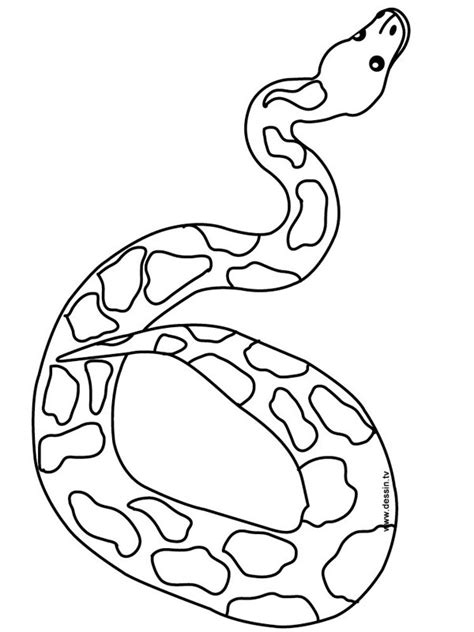 11 Dibujos De Serpiente Para Colorear Dibujos Para Imprimir Gratis Kulturaupice