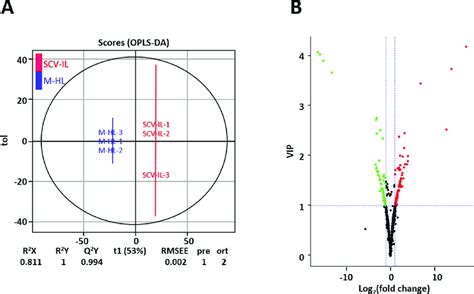 Opls Da Score Plots Panel A And The Corresponding Volcano Plots