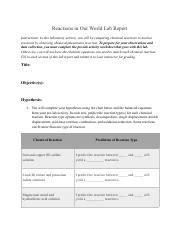 Copy Of 04 06 Reactions In Our World Lab Report Pdf Reactions In Our