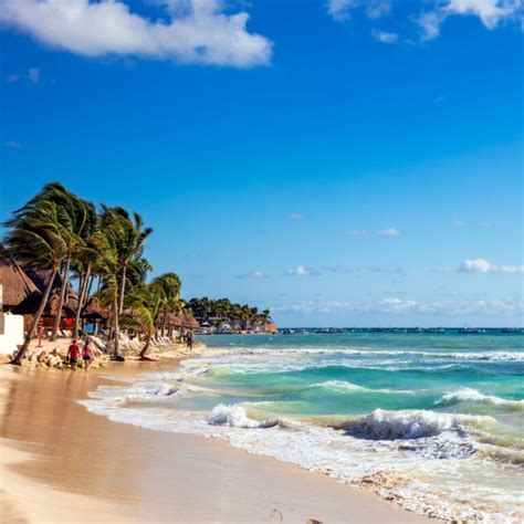 Playa del Carmen Beaches Are Sargassum-Free For First Time In 6 Months - Cancun Sun