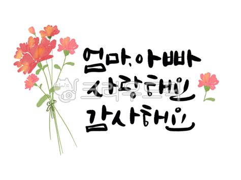 카네이션 어버이날 사랑해요 감사해요 부모님 사진이미지일러스트캘리그라피 꿈지캘리작가